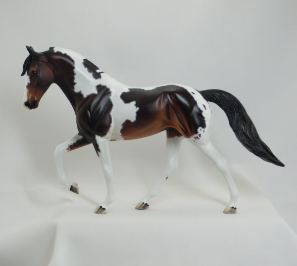 TIPPECANOE PLACE - OOAK Seal Bay Pinto Tennessee Walker with Mapping 4/15