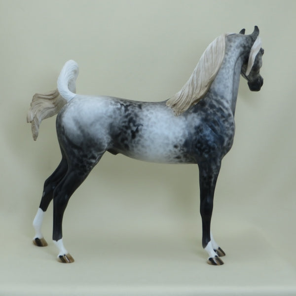 ALGONA - OOAK Appaloosa Arabian 4/15