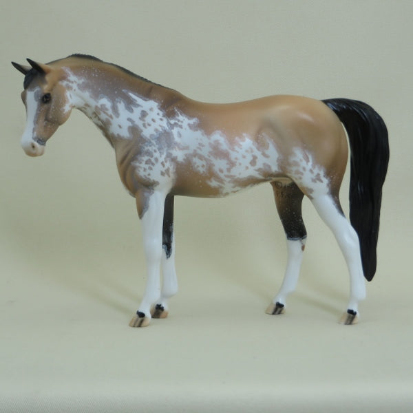 FONTANA - OOAK Buckskin Sabino Pinto Arabian Pebbles 4/15