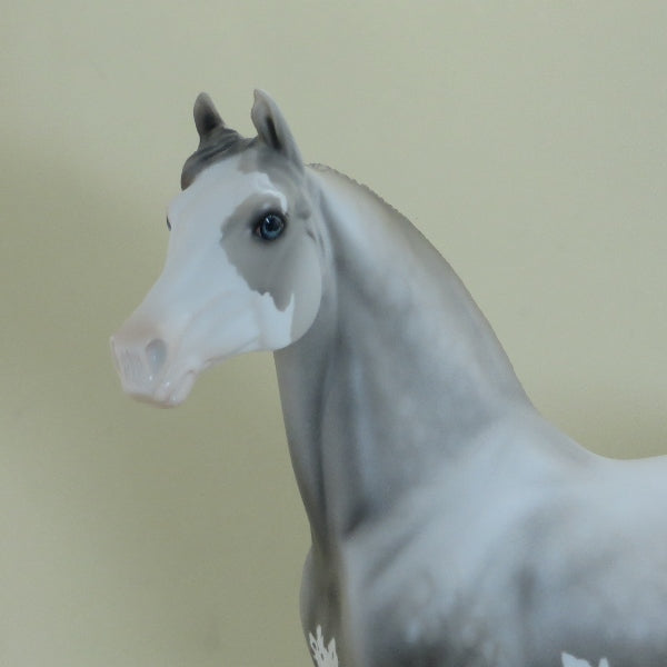 WAUKESHA - Dapple Gray Pinto Morgan with Flowers LE3 4/15