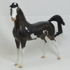 PARVANEH - OOAK  Dark Bay Arabian Pinto 2/15