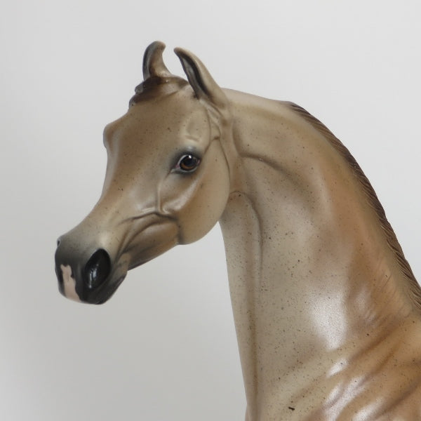 CANTRELL - OOAK Brown Roan Marwari Arabian Model Horse - 5/15