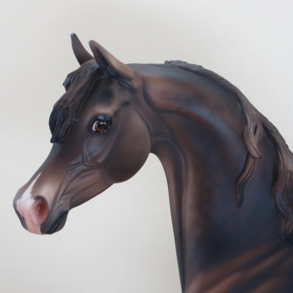 SHY VIOLET - OOAK Extreme Dark Dapple Chestnut Arabian 3/15