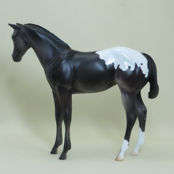 VANISHED PLANET - Black Appaloosa Weanling LE4