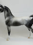 AMERICAN SNIPER - OOAK Dark Dapple Gray Arabian 2/15