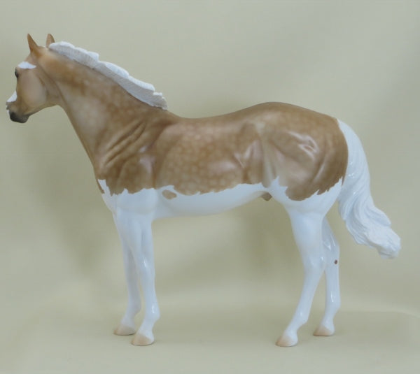 DWYER - OOAK Dapple Palomino Splash Paint Stock 3/15