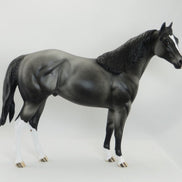 BALINESE - OOAK Dapple Gray Stock Horse 5/15