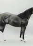 BALINESE - OOAK Dapple Gray Stock Horse 5/15