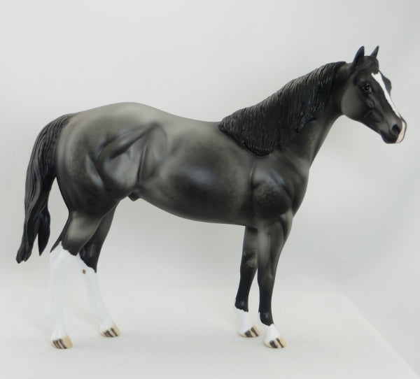BALINESE - OOAK Dapple Gray Stock Horse 5/15