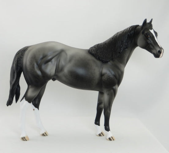 BALINESE - OOAK Dapple Gray Stock Horse 5/15