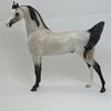 LINCOLN - Dapple Gray Arabian LE2 2/15