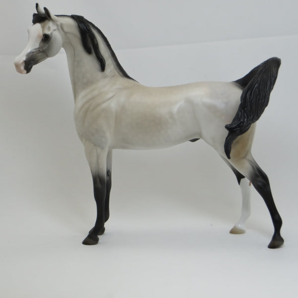 LINCOLN - Dapple Gray Arabian LE2 2/15