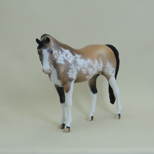 FONTANA - OOAK Buckskin Sabino Pinto Arabian Pebbles 4/15