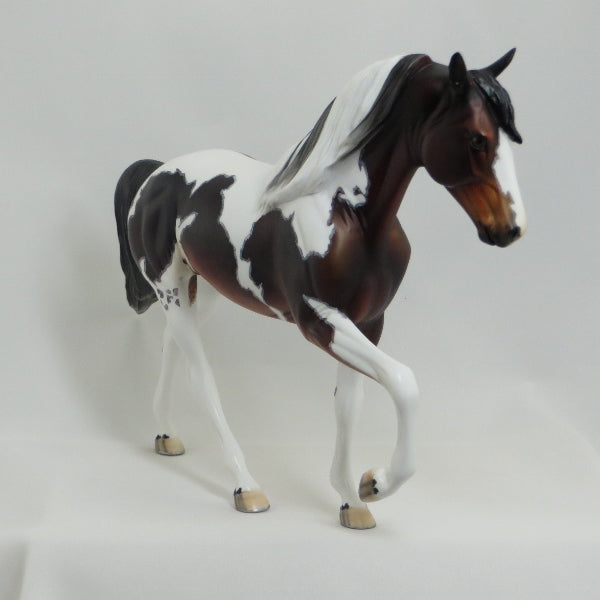 TIPPECANOE PLACE - OOAK Seal Bay Pinto Tennessee Walker with Mapping 4/15