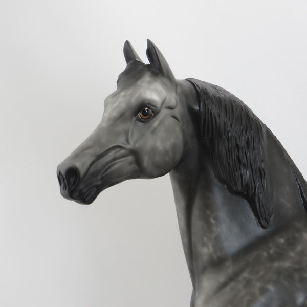 COTTONWOOD - OOAK Black Deco Long Mane Morgan 5/15