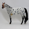 CAKE - OOAK Bay Roan Appaloosa Stock Horse 2/15