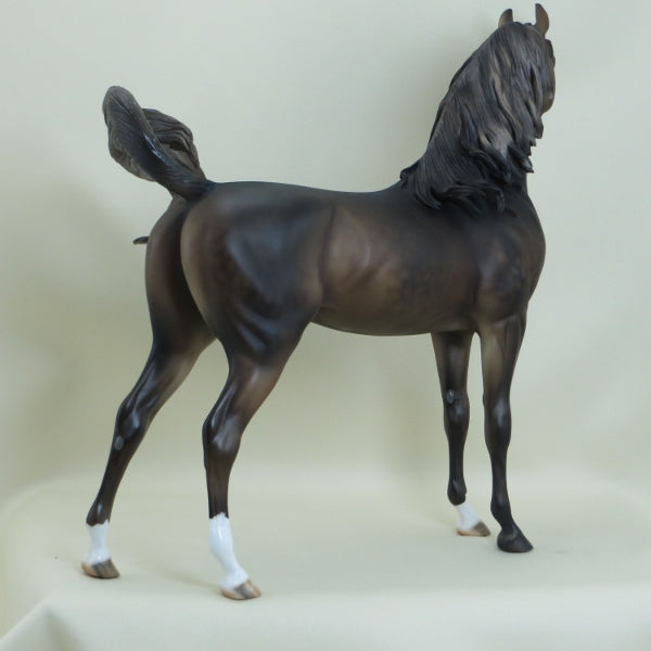 SHY VIOLET - OOAK Extreme Dark Dapple Chestnut Arabian 3/15