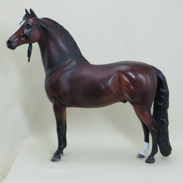 TAREYTON - OOAK Dapple Bay Morgan with Long Mane 4/15