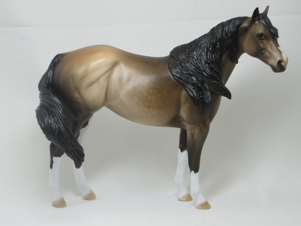 JULIA GRANT - OOAK Dapple Sooty Buckskin Stock Mare 2/15