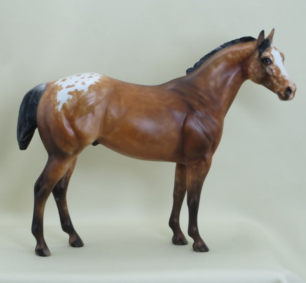 BUDS - OOAK Bay Appaloosa with Ratty Mane 3/15