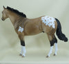 MACALEESE - OOAK Buckskin Appaloosa Stock Horse 3/15