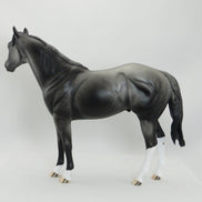 BALINESE - OOAK Dapple Gray Stock Horse 5/15