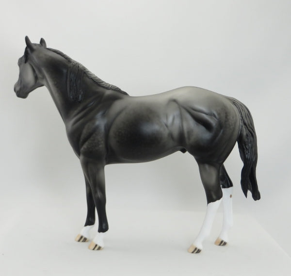 BALINESE - OOAK Dapple Gray Stock Horse 5/15