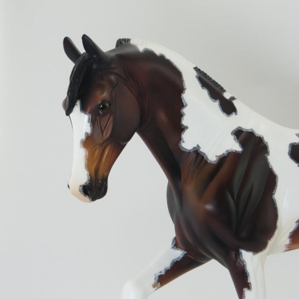 TIPPECANOE PLACE - OOAK Seal Bay Pinto Tennessee Walker with Mapping 4/15