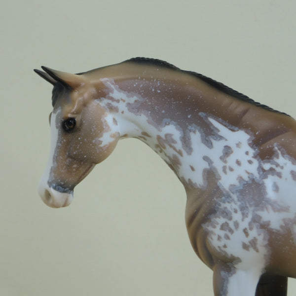 FONTANA - OOAK Buckskin Sabino Pinto Arabian Pebbles 4/15