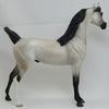 LINCOLN - Dapple Gray Arabian LE2 2/15