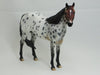 CAKE - OOAK Bay Roan Appaloosa Stock Horse 2/15