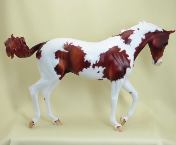 RAMBLIN&#39; BOY - OOAK Chestnut Pinto with Mapping 3/15