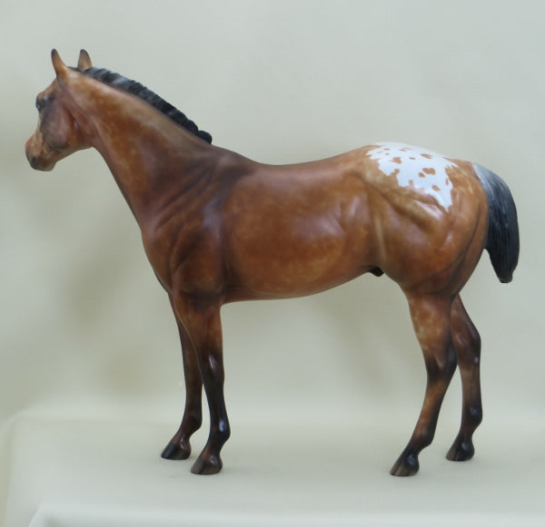BUDS - OOAK Bay Appaloosa with Ratty Mane 3/15