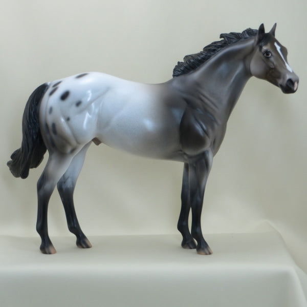 NOVEMBER WIND - OOAK Appaloosa Stock Horse 3/15