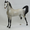 LINCOLN - Dapple Gray Arabian LE2 2/15