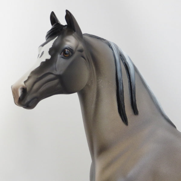 SCOTT - OOAK Frosty Dun Long Mane Morgan Model Horse - 4/15