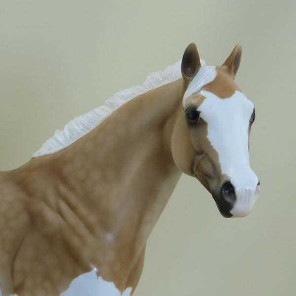 DWYER - OOAK Dapple Palomino Splash Paint Stock 3/15