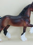 ANGUS - OOAK Dapple Bay Trotting Drafter Model Horse - 3/15