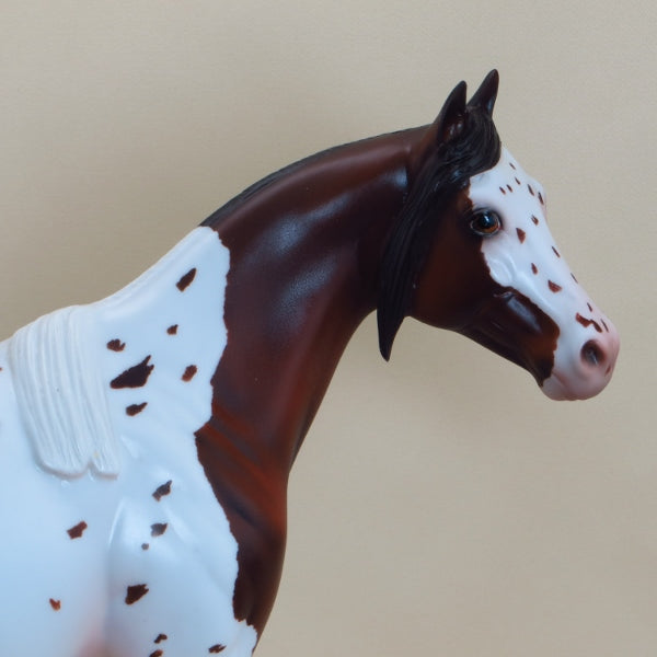 SLICKER - OOAK Bay Appaloosa Stock Horse 3/15