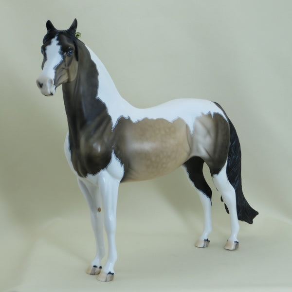 ON THE WING - OOAK Dapple Sooty Buckskin Pinto Morgan Mare with Insects 3/15