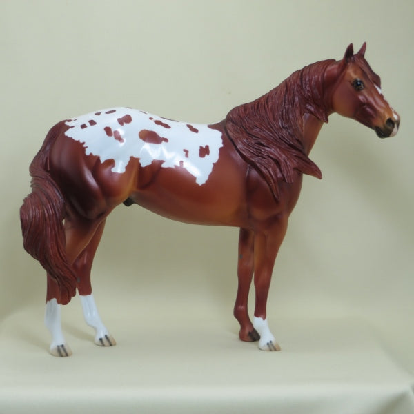 CLUE - OOAK Chestnut Appaloosa Stock Horse - 4/15