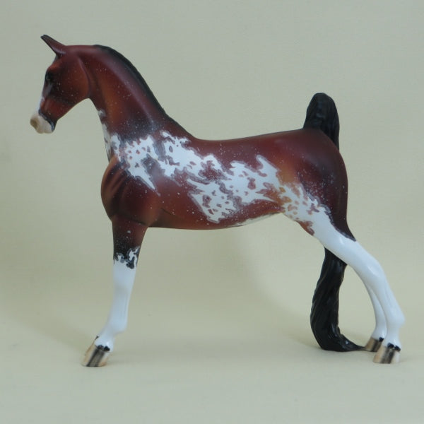 FOSSTON - OOAK Bay Sabino Pinto Saddlebred Pebbles 4/15