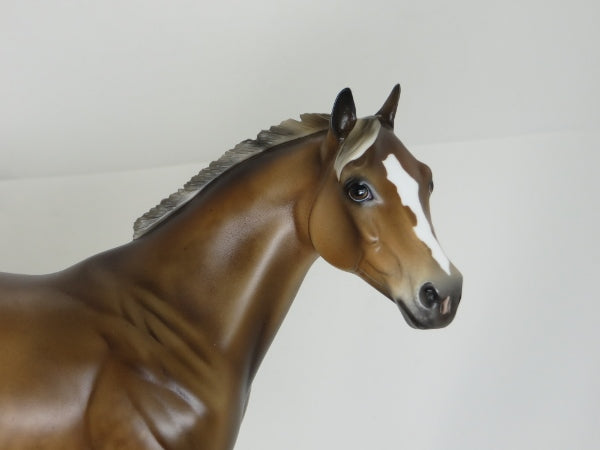 BURBURRY - Dapple Sooty Palomino Appaloosa LE15 1/15