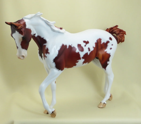 RAMBLIN&#39; BOY - OOAK Chestnut Pinto with Mapping 3/15