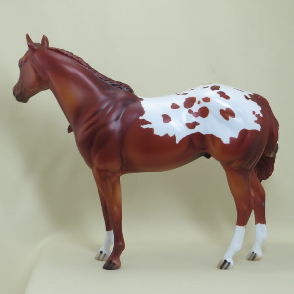 CLUE - OOAK Chestnut Appaloosa Stock Horse - 4/15