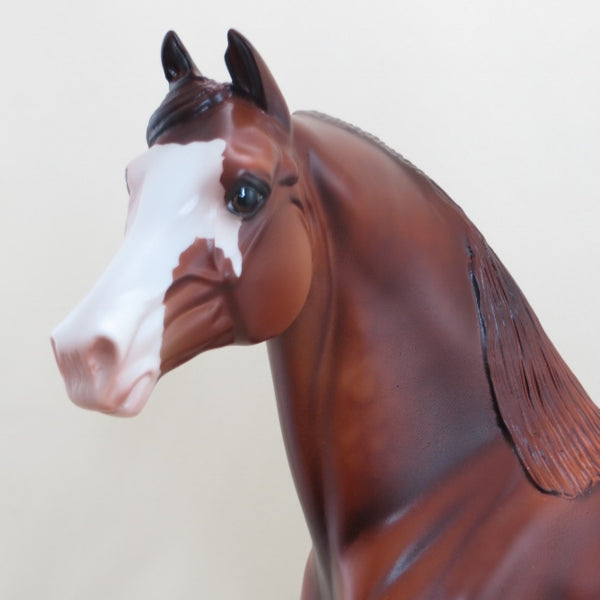 MAHJONG - OOAK Dapple Chestnut Morgan Model Horse - 4/15