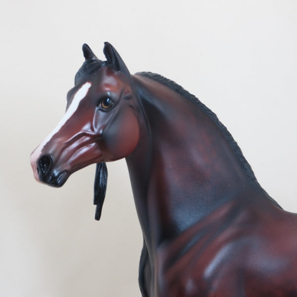 TAREYTON - OOAK Dapple Bay Morgan with Long Mane 4/15