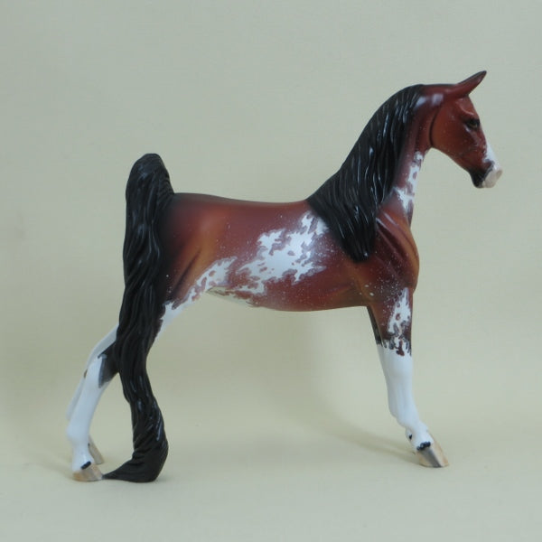 FOSSTON - OOAK Bay Sabino Pinto Saddlebred Pebbles 4/15