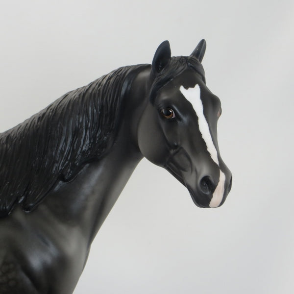 BALINESE - OOAK Dapple Gray Stock Horse 5/15