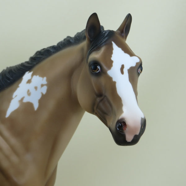 MACALEESE - OOAK Buckskin Appaloosa Stock Horse 3/15